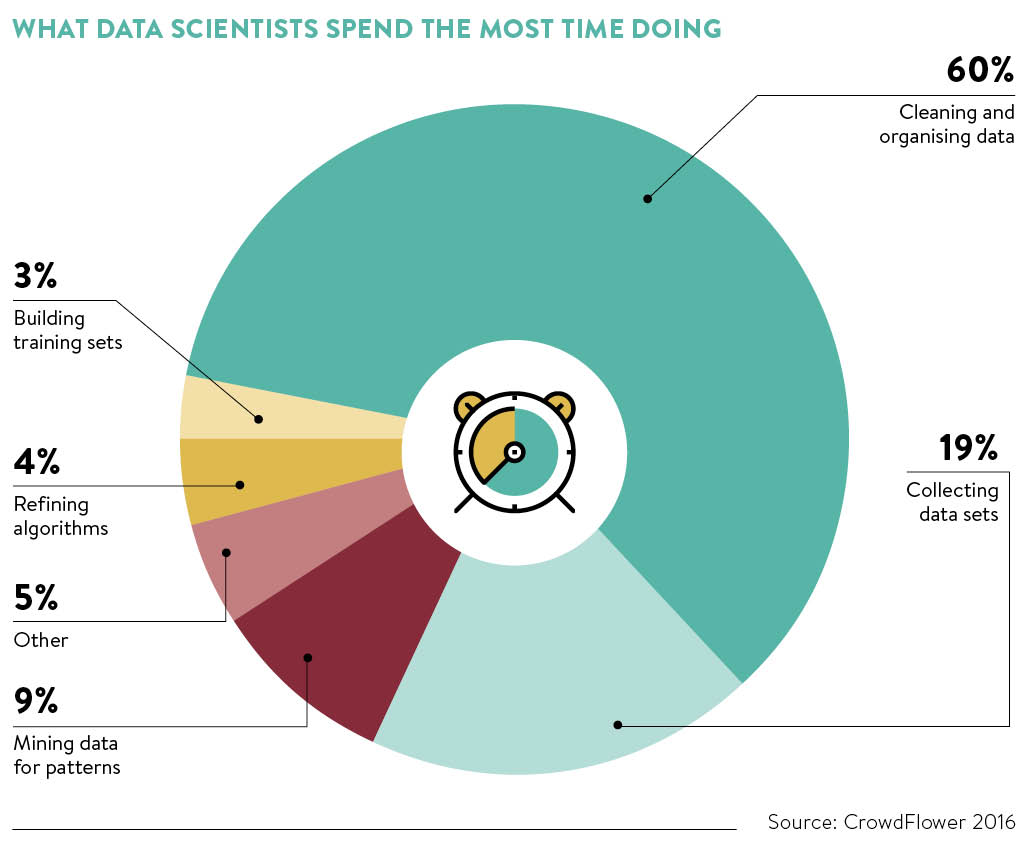 The role of data scientist